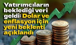 Merkez Bankası anketi: Yıl sonu enflasyon ve dolar beklentisi yukarı yönlü güncellendi
