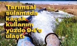 Güneydoğu'da kaçak elektrik alarmı: Tarımsal sulamada kaçak kullanım yüzde 94'e ulaştı