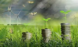 Ulusal Yeşil Finans Stratejisi ve Eylem Planı Resmi Gazete'de yayımlandı