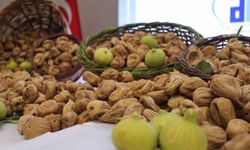Sezonun ilk kuru inciri 850 liradan satıldı