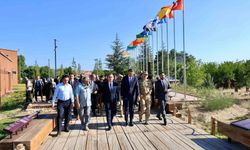 Bakan yardımcısı Çelik, Ahlat'ta incelemelerde bulundu