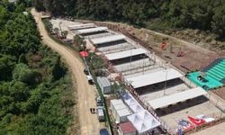 Bursa Hayvan Hakları Platformu'ndan Gemlik Belediyesi'ne tepki: 'Kapıları açın'