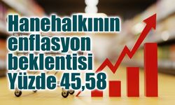 Hanehalkının enflasyon beklentisi yükseldi: Yüzde 45,58’e çıktı