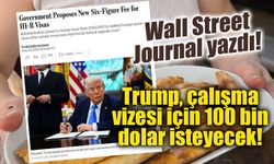 ABD'den H-1B vizelerinde rekor ücret hamlesi: 103 bin 265 dolar