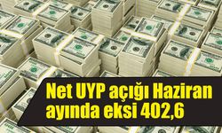 Net UYP açığı Haziran ayında eksi 402,6 milyar dolar oldu