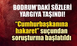 İngiliz ekonomist Timothy Ash hakkında soruşturma başlatıldı