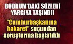 İngiliz ekonomist Timothy Ash hakkında soruşturma başlatıldı