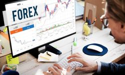 Güvenilir Forex Şirketleri