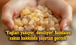 “Yağları yakıyor” deniliyordu! Sandaloz sakızı gerçekten zayıflatıyor mu?