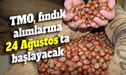 TMO, fındık alımlarına 24 Ağustos’ta başlayacak