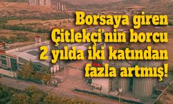 Borsaya giren Çitlekçi’nin borcu 2 yılda iki katından fazla artmış!