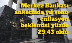 Merkez Bankası anketinde yıl sonu enflasyon beklentisi yüzde 29,43 oldu