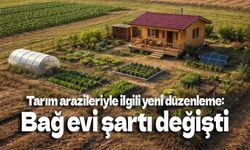 Tarım arazileriyle ilgili yeni düzenleme: Bağ evi şartı değişti