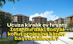 İstanbul’da 15 bin kiralık sosyal konut için geri sayım! Başvuru şartları ve kira bedeli belli oluyor