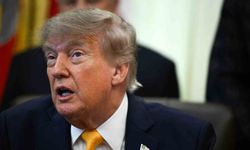 Trump'tan Almanya'daki aşırı sağcı AfD'ye övgü
