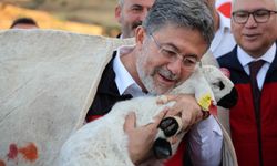 Türkiye dünyada arıcılıkta 2. sırada