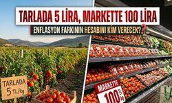 Tarlada 5 lira, markette 100 lira: Fiyat farkının enflasyona etkisinin hesabını kim verecek?
