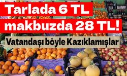 Tarlada 6 lira, makbuzda 28 lira: Fiyat oyununun belgesi savcılık dosyasından çıktı