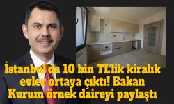 İstanbul’da kiralık sosyal konut için başvurular başlıyor: İlk etapta 1071 konut