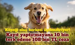 Köpek sahipleri dikkat! Kayıt yaptırmayana 10 bin, terk edene 108 bin TL ceza