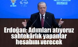 Erdoğan: Adımları atıyoruz, sahtekârlık yapanlar hesabını verecek