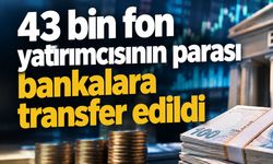 Şimşek açıkladı: 43 bin fon yatırımcısının parası bankalara aktarıldı