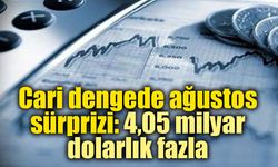Türkiye’nin döviz bilançosunda ağustos tablosu belli oldu
