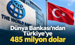 Dünya Bankası’ndan Türkiye’ye 485 milyon dolar