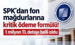 SPK’dan fonzedelere kritik açıklama: 1 milyon TL sınırı her fon için ayrı uygulanacak