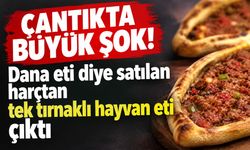 Bursa’da gıda skandalı! “Dana eti” denilen cantık harcında yasaklı et tespit edildi