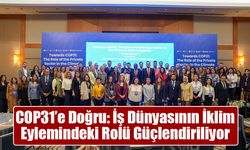 COP31’e Doğru: İş Dünyasının İklim Eylemindeki Rolü Güçlendiriliyor