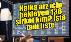 Halka arz için bekleyen 136 şirket kim?