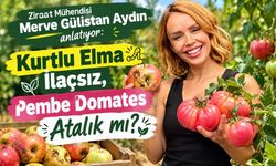 Merve Gülistan Aydın anlatıyor: Kurtlu elma ilaçsız, pembe domates atalık mı?