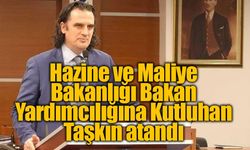 Hazine ve Maliye Bakanlığı Bakan Yardımcılığına Kutluhan Taşkın atandı