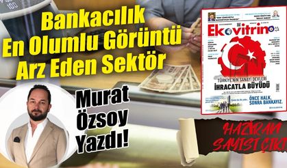 Murat Özsoy Yazdı: 'Bankacılık En Olumlu Görüntü Arz Eden Sektör'