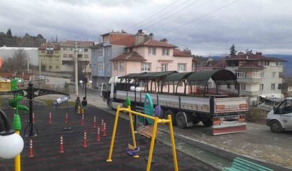 Tosya Belediyesi kamelya üretiminde rekor kırdı