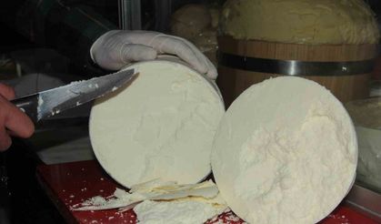 Erzincan Tulum Peyniri, Türkiye’nin Avrupa Birliği’nden coğrafi işaret tescili alan 20. ürünü olma yolunda