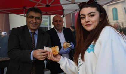 1 ton hamsiyi 1 saatte tükettiler!