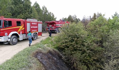 Sezonun ilk orman yangını Denizli'de! Neyse ki büyümeden söndürüldü