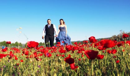 Gelinler, ‘Gelincik’ tarlasına akın etti