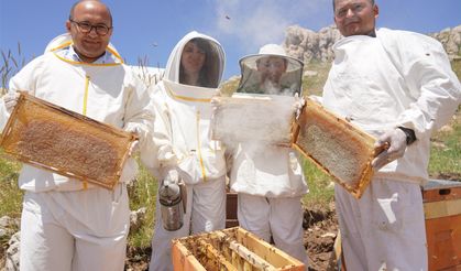 Erzincan’da 100 bin üzeri kolonide 1 milyon kilogram bal üretiliyor