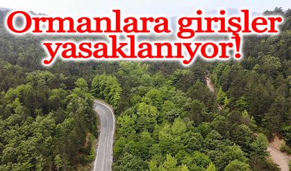 Ormanlara girişler yasaklanıyor!