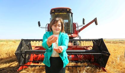 Gaziantep Büyükşehir'de tarıma destek artarak sürüyor!