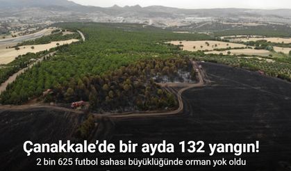 Çanakkale’de bir ayda 132 yangın: 2 bin 625 futbol sahası büyüklüğünde orman yok oldu