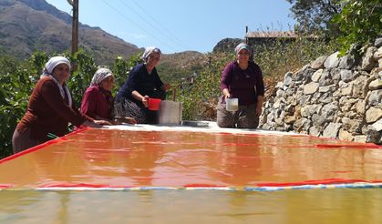 Kadınların zorlu pestil yapımı imece usulü ile eğlenceli hale geliyor