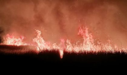 Sultan Sazlığı Milli Parkı'nda yangın