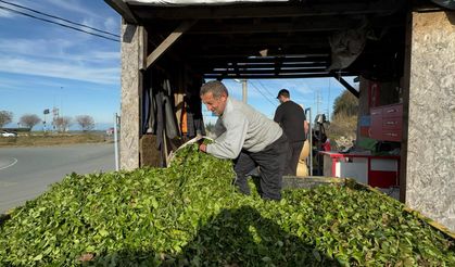 Kış geldi, çay sezonu bitmedi!