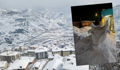 Artvin’de Kar Esareti Sanata Dönüştü: Kardan Boğa Heykeli Görenleri Şaşırttı!