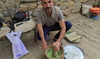 Sason Dağlarında Yetişen Şifalı "Zuzubak" Otu Kilosu 10 Bin TL’ye Satılıyor