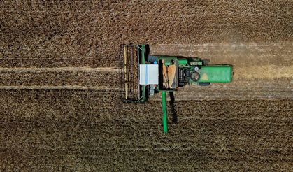 Adana'da Buğday Hasadı Başladı: Zirai Don ve Kuraklık Verimi Yüzde 40 Düşürdü